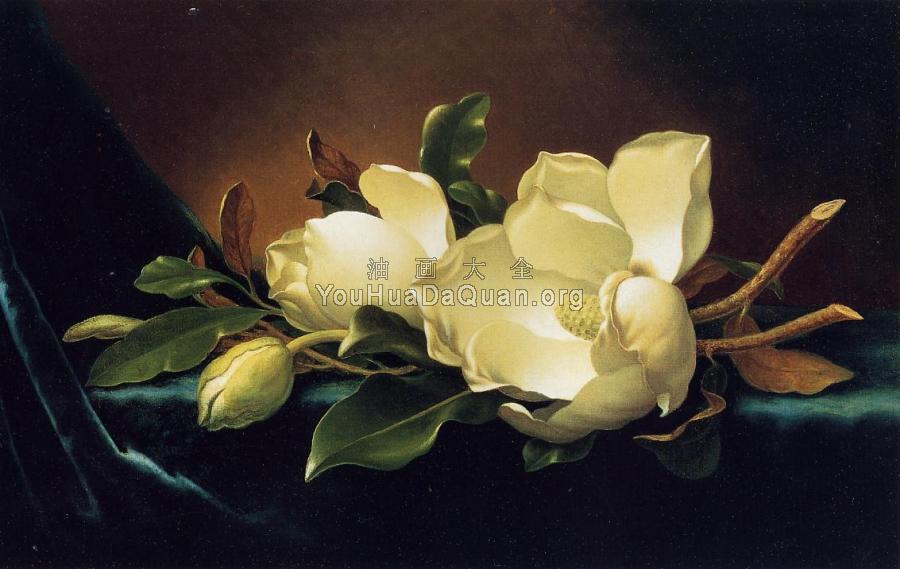 Two Magnolias and a Bud on Teal Velvet - 马丁·约翰逊·赫德